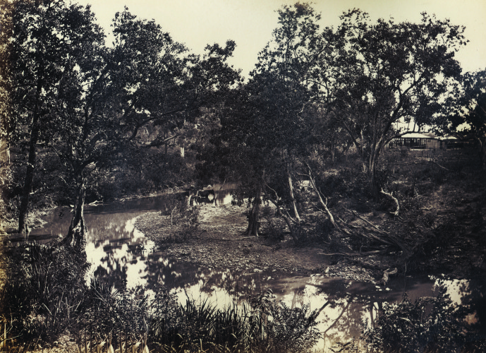 View on the McKinlay River, November 1879